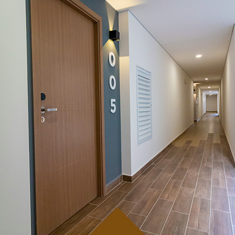 XENTRIC-Zibata-Servicios2