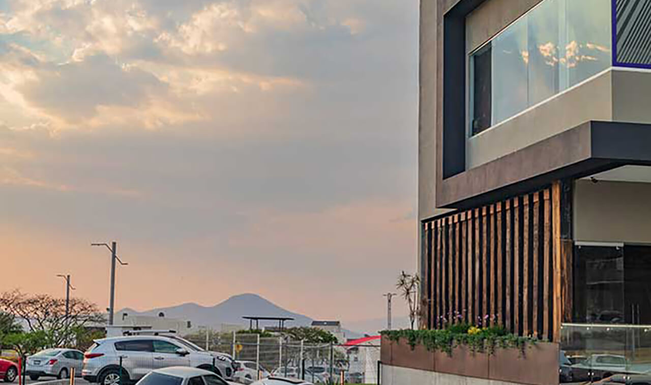 op-xentric-zibata-157 copia